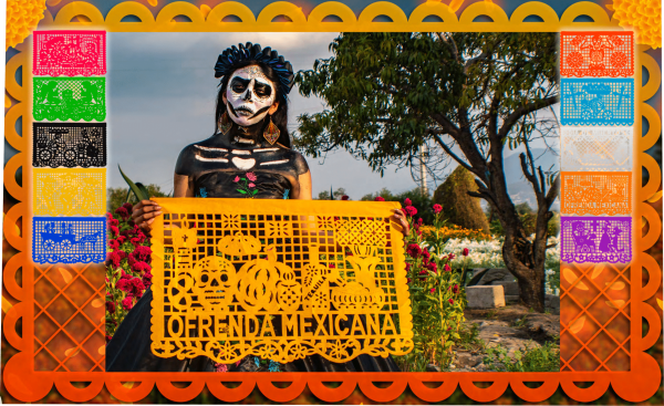 Papel Picado Dia de Muertos c/50